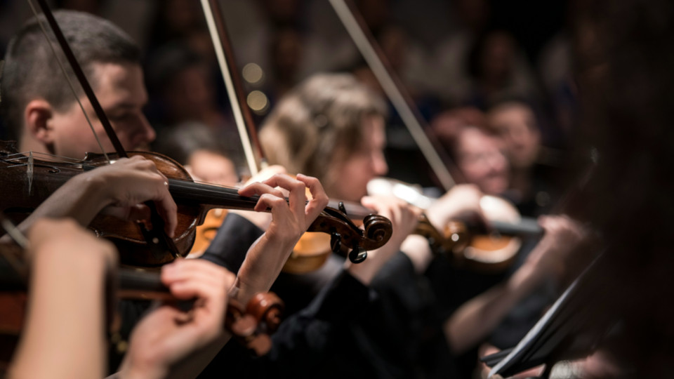 Geiger in einem Orchester