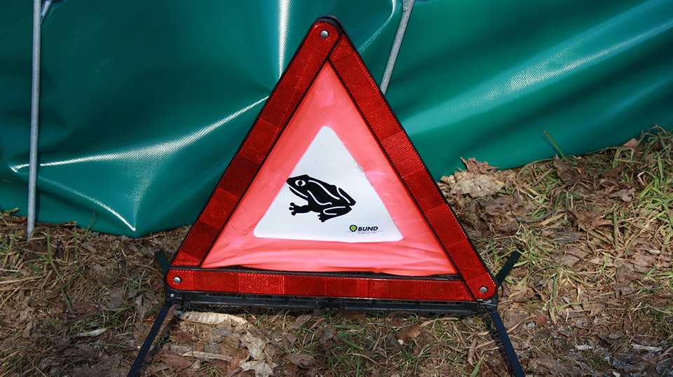 Kröten Frösche Wanderung