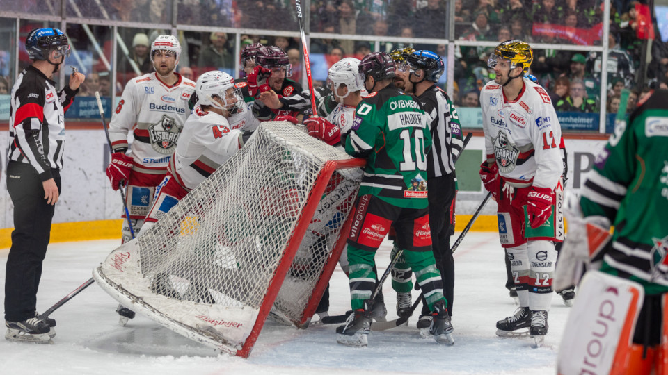 Die Eisbären im Spiel