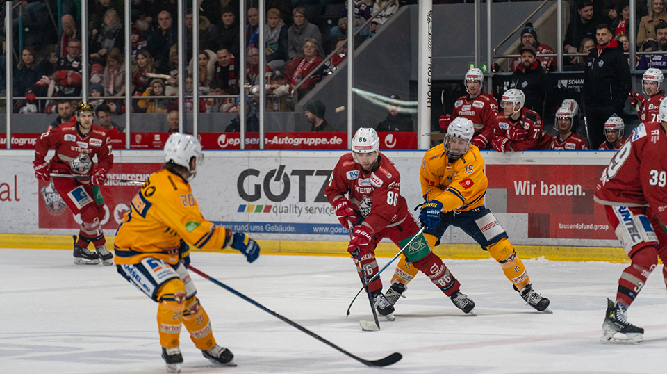 Eisbären Regensburg