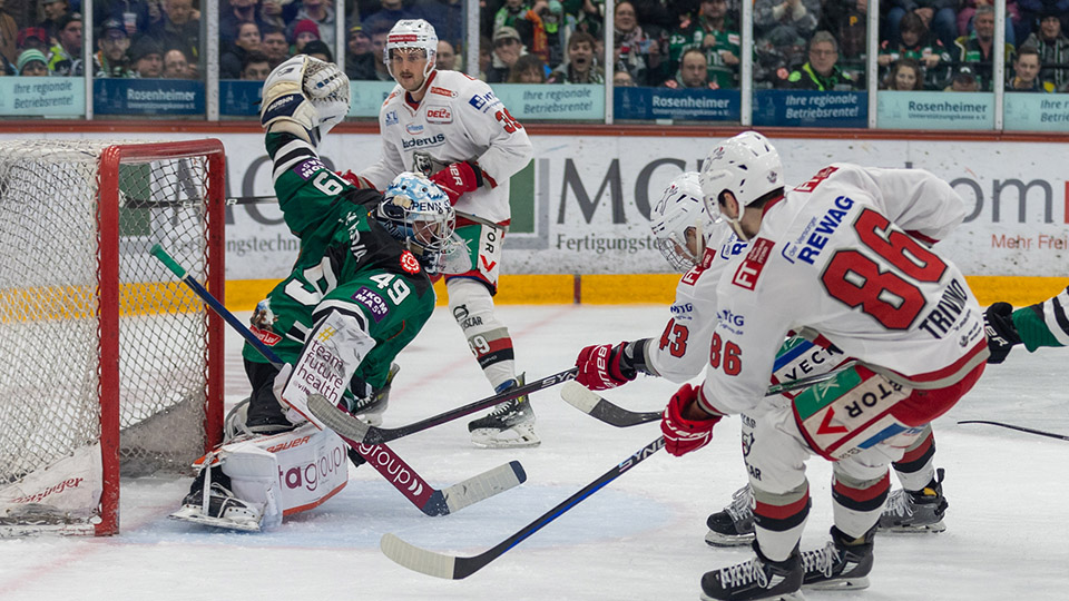 Auswärtsfotot: Rosenheim gegen die Eisbären Regensburg