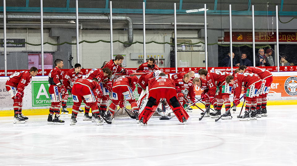 Eisbären Regensburg