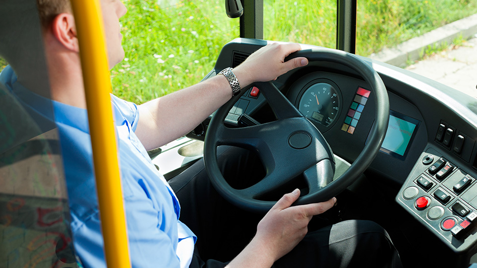 Mit dem Bus zum Palmator-Anstich: Busfahrer mit beiden Händen am Lenkrad.