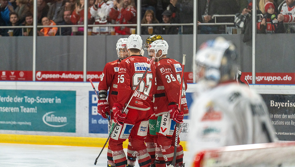 Eisbären Regensburg