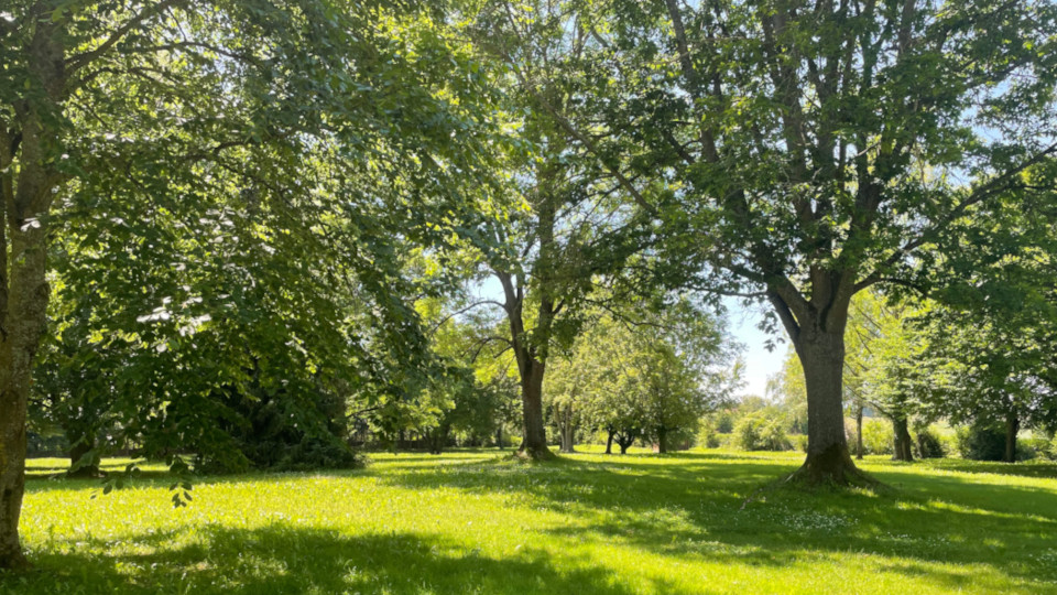 Der Park der Grundwald Villa in Hemau