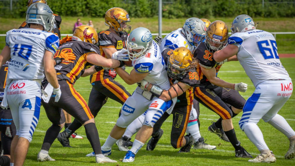 Regensburg Phoenix gegen die Pforzheim Wilddogs 