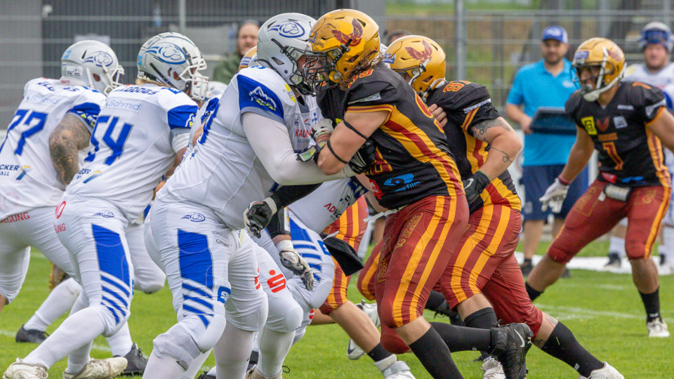 Spiel der Regensburger Phoenix