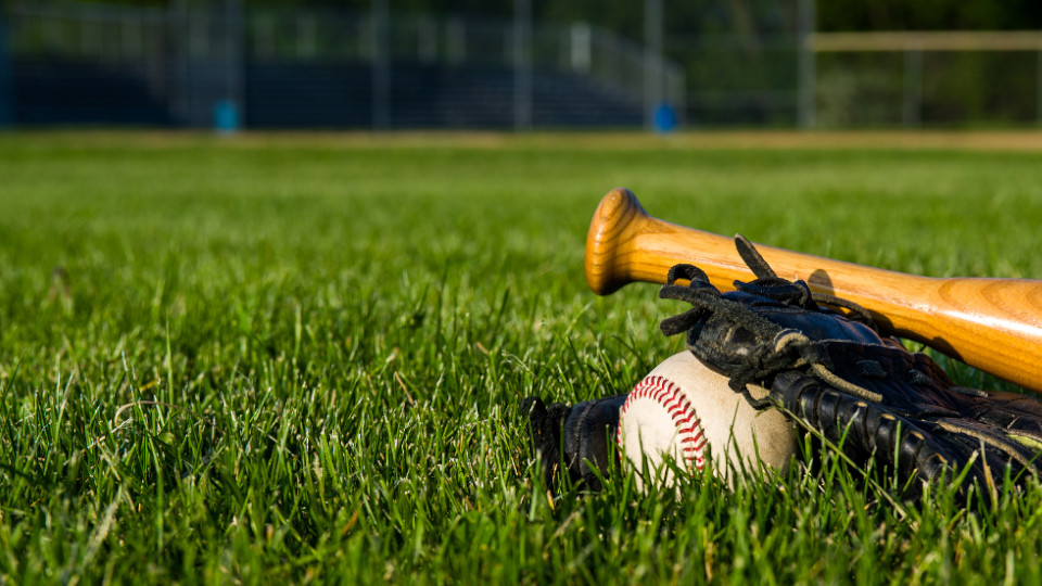 Baseballschläger im Gras