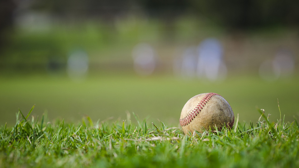 Symbolbild: Baseball liegt auf dem Rasen