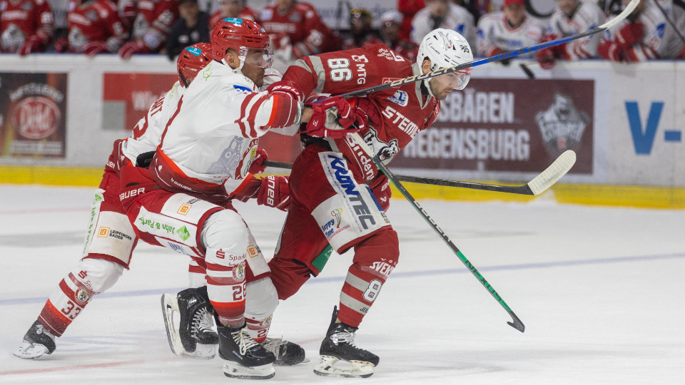 Eishockey Spieler auf dem Eis