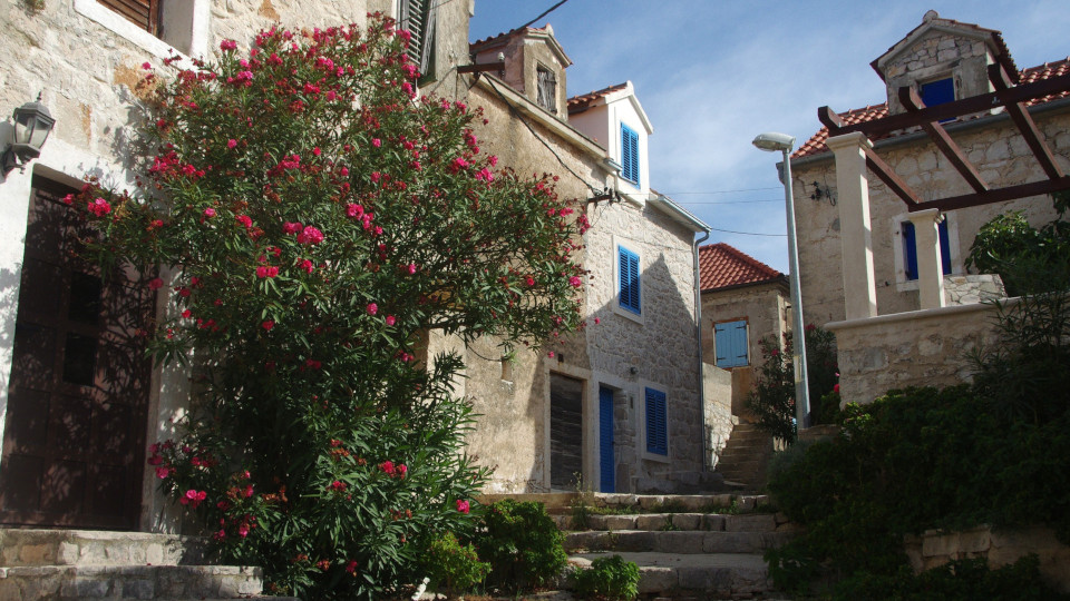 Dalmatien: Häuser im Sommer