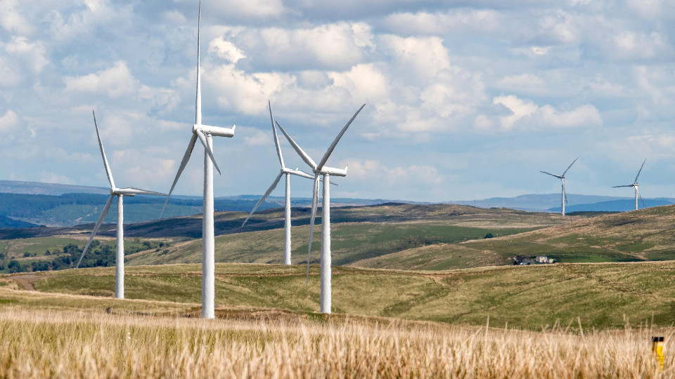 Windräder auf dem Feld