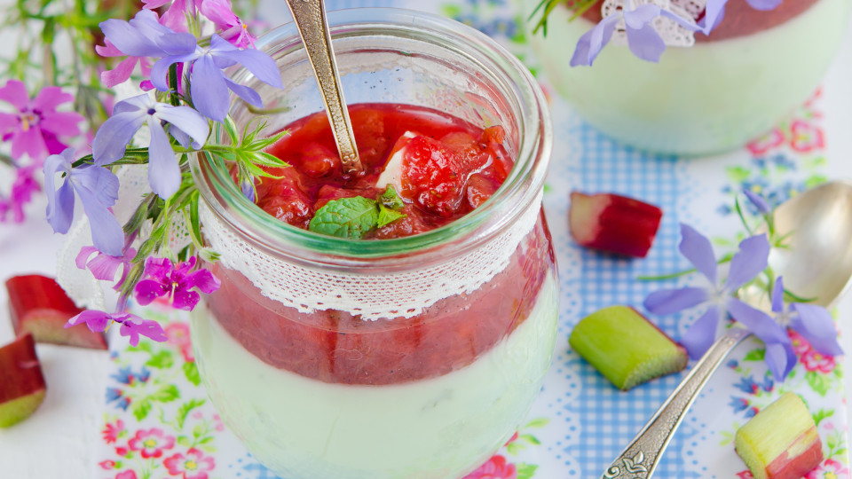 rhabarber genuss aussergewoehnliche fruehlingsgerichte 3 960x540