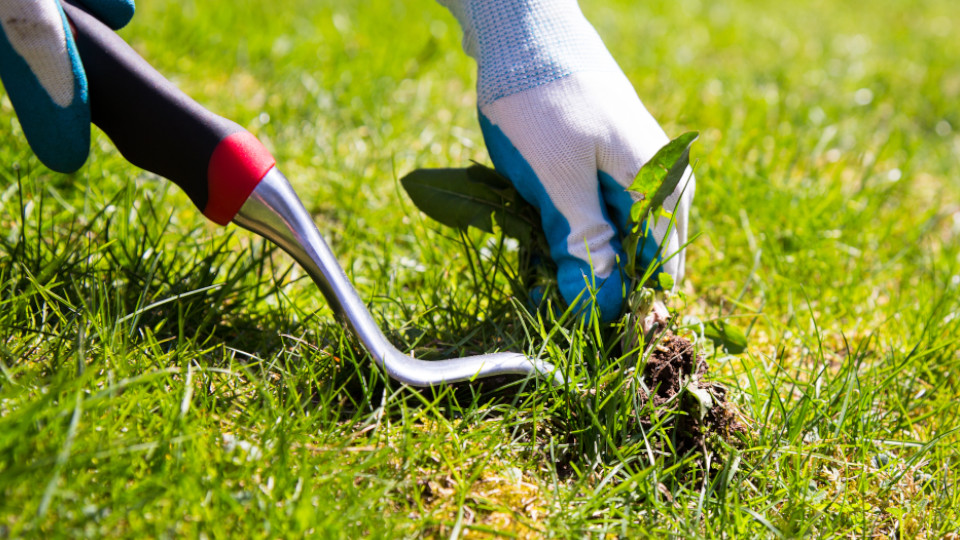 Hände rupfen Unkraut aus der Erde