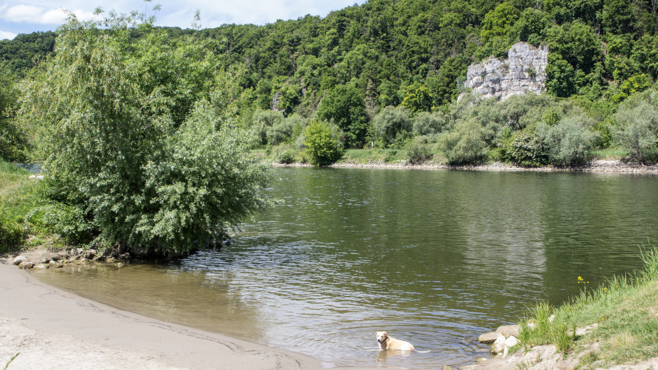 radtouren fuer jeden geschmack von familienrouten bis gelaendeabenteuer 1 960x540