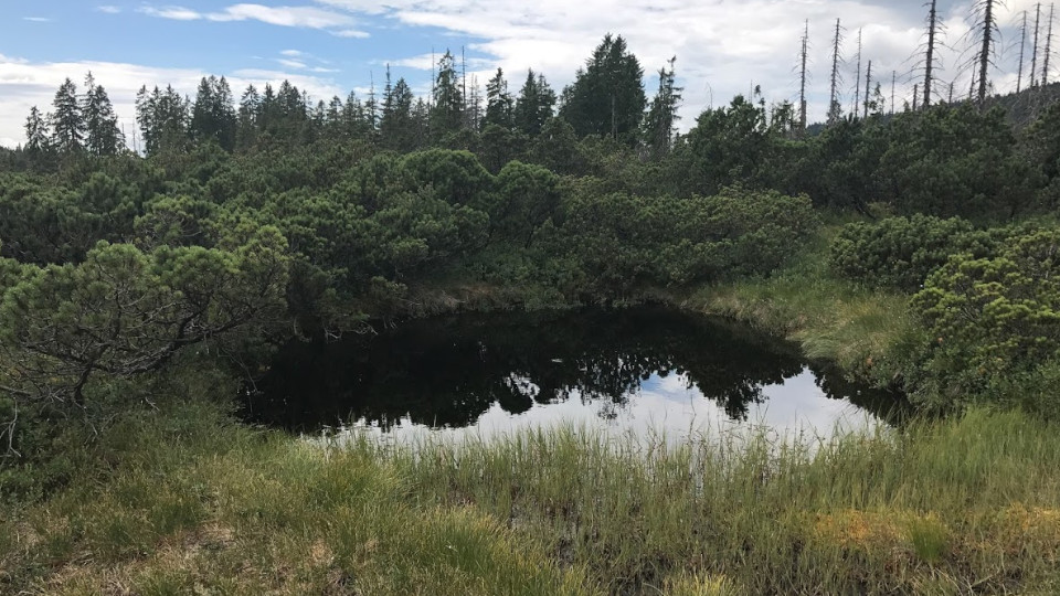 urlaub dahoam entdecken sie ihre region 1 960x540