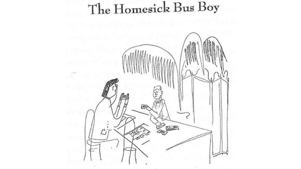 das tier mit der menschlichen stimme 1 960x540