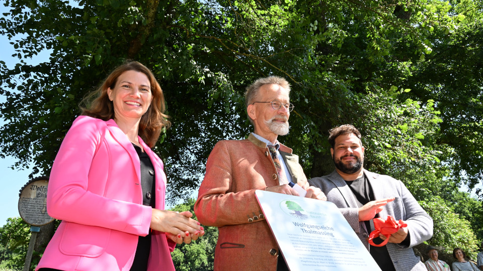  Landrätin Tanja Schweiger, Professor Dr. Andreas Roloff und Thalmassings Bürgermeister Raffael Parzefall nach der Enthüllung der offiziellen Ernennungstafel.