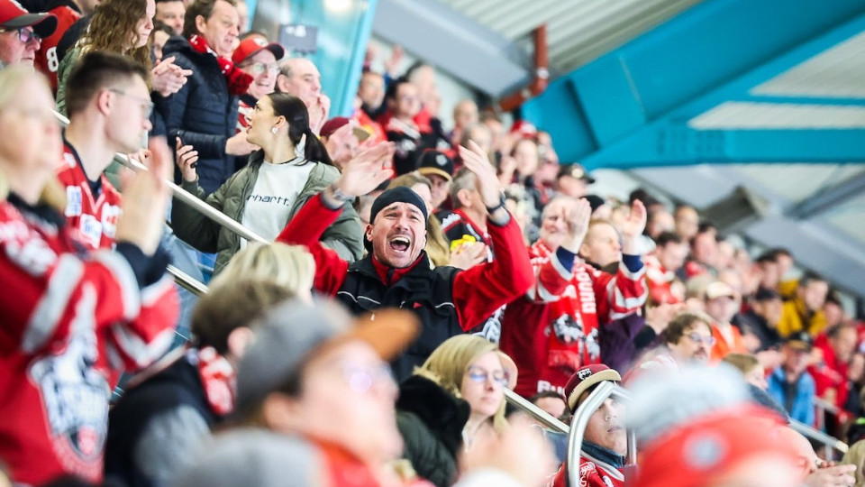 Fans der Eisbären freuen sich