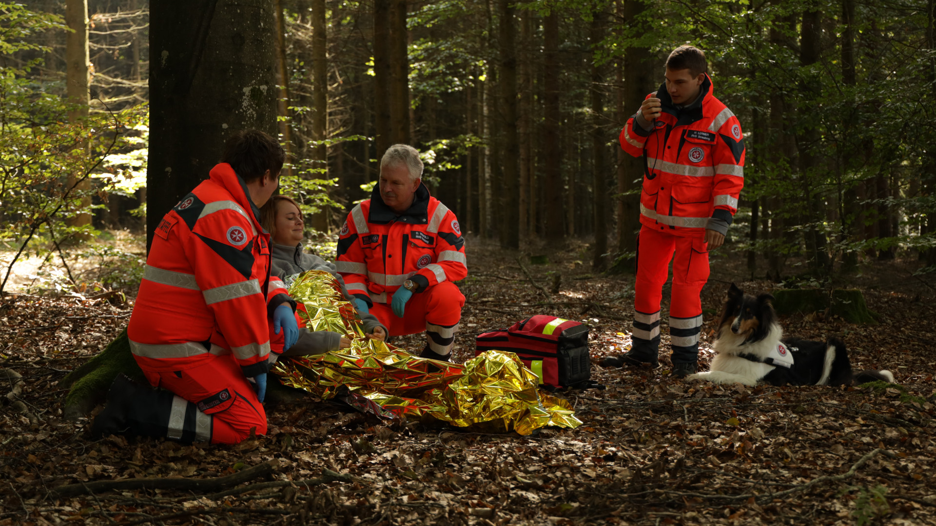 Johanniter finden im Wald eine vermisste Person