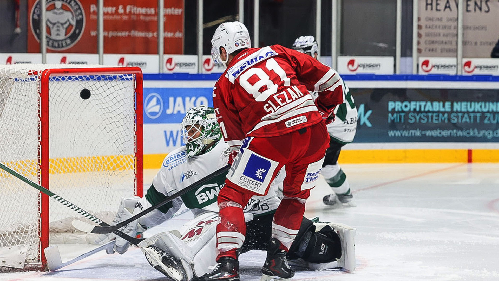 Regensburger Eisbären