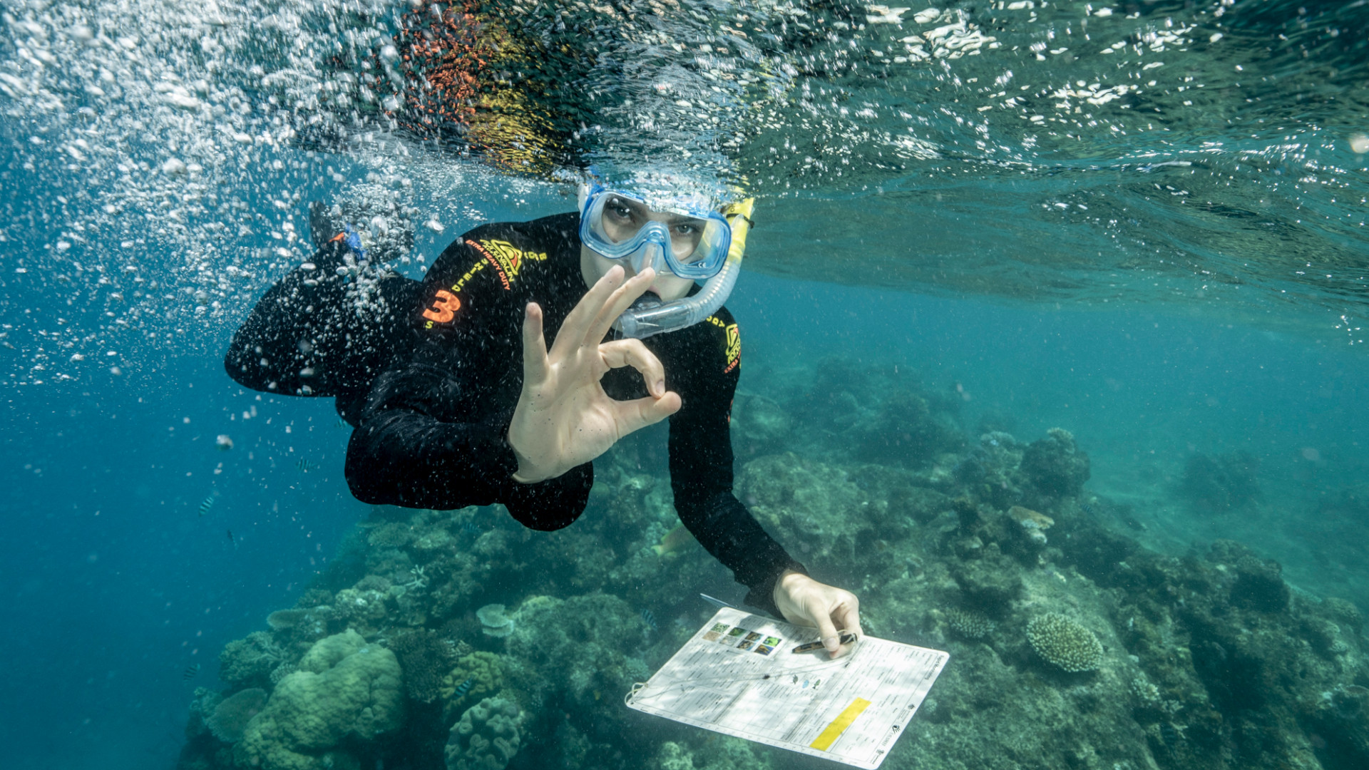 Eine-Veranstaltung-die-Mut-macht-Greenpeace-pr-sentiert-Live-Reportage-im-Regina-Kino