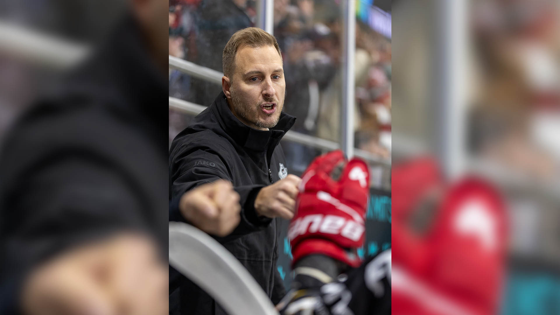 Bitteres-Ende-der-Siegesserie-Eisb-ren-unterliegen-in-Wei-wasse