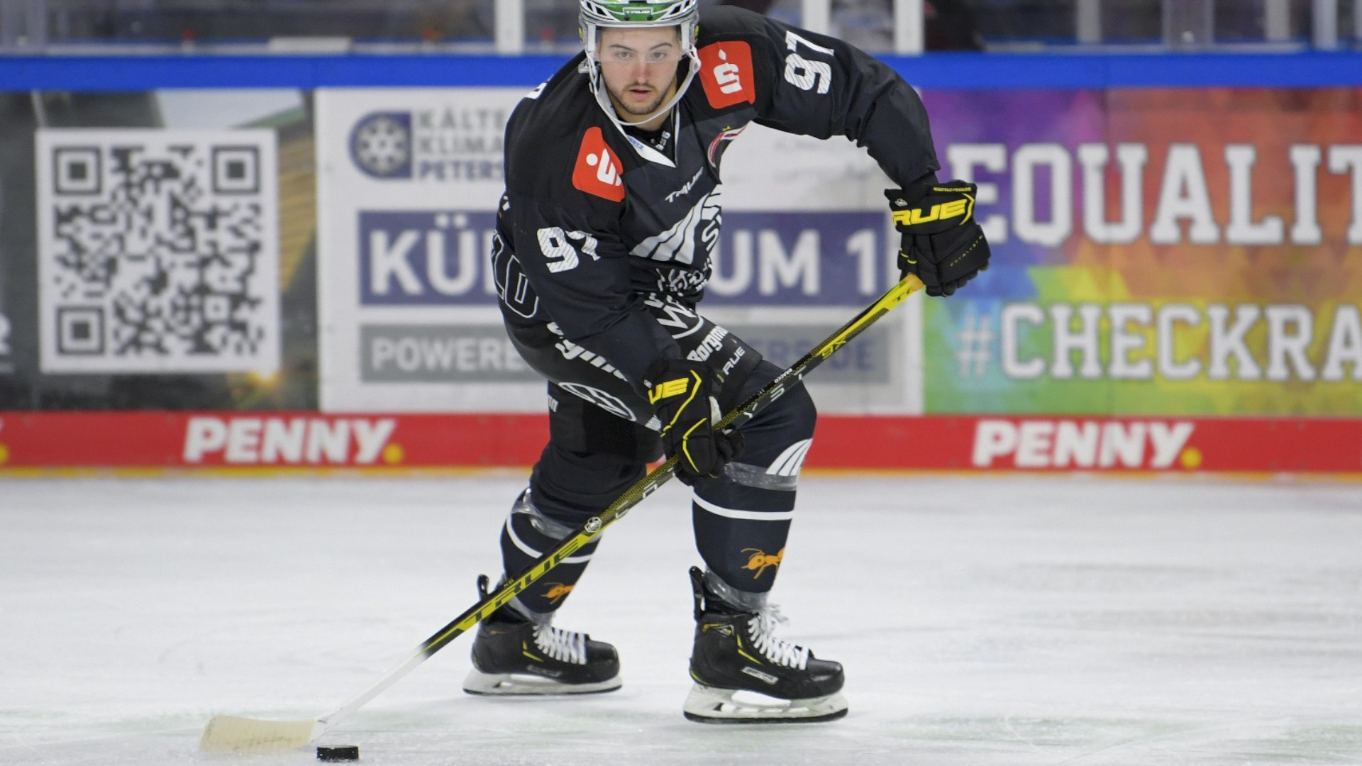 Neuer-Kontingentst-rmer-Jeremy-Bracco-wird-ein-Eisb-r