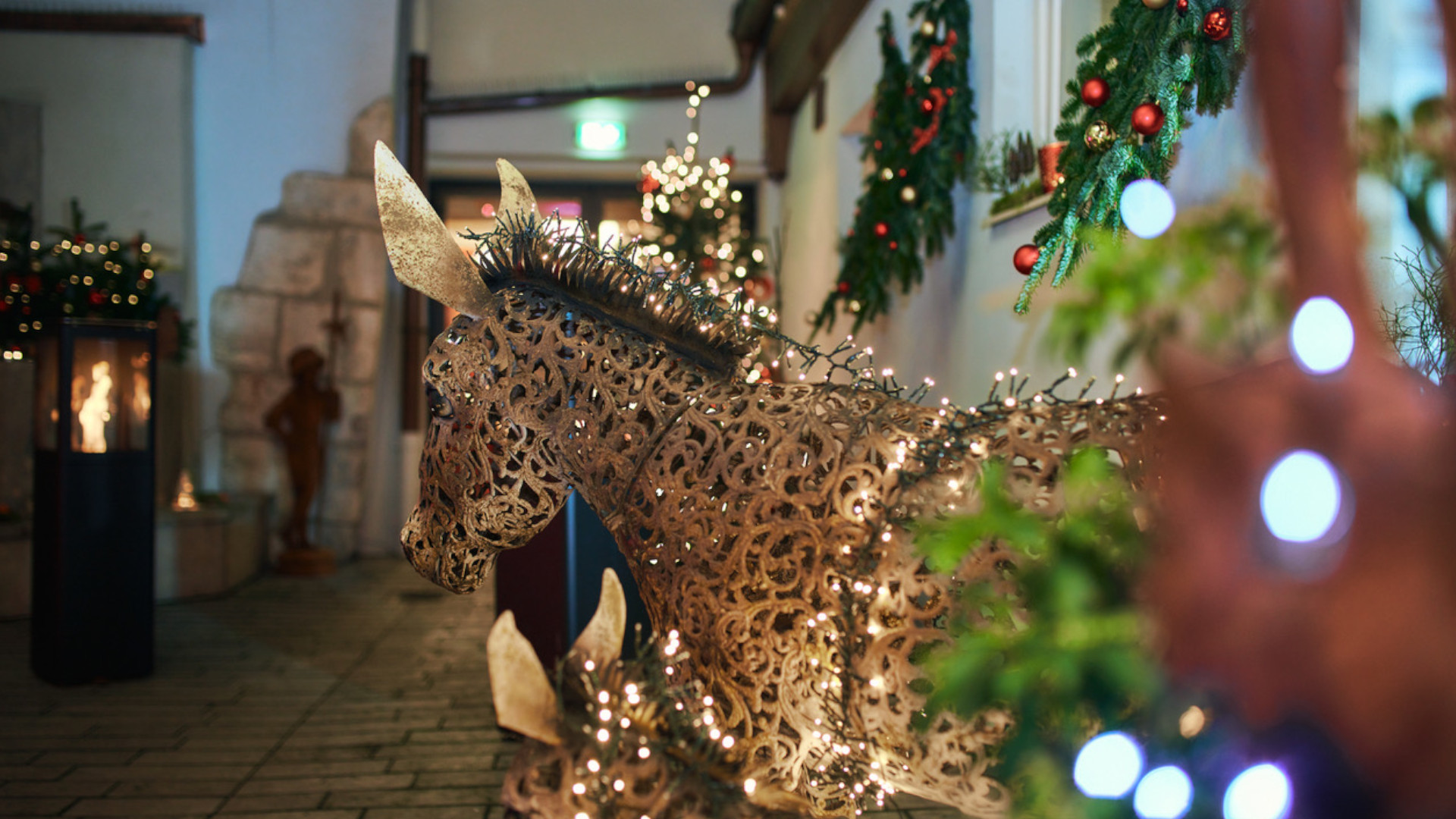 Weihnachtsreise-im-AltstadtQuartier-Eine-Insel-der-Magie-in-Regensburg