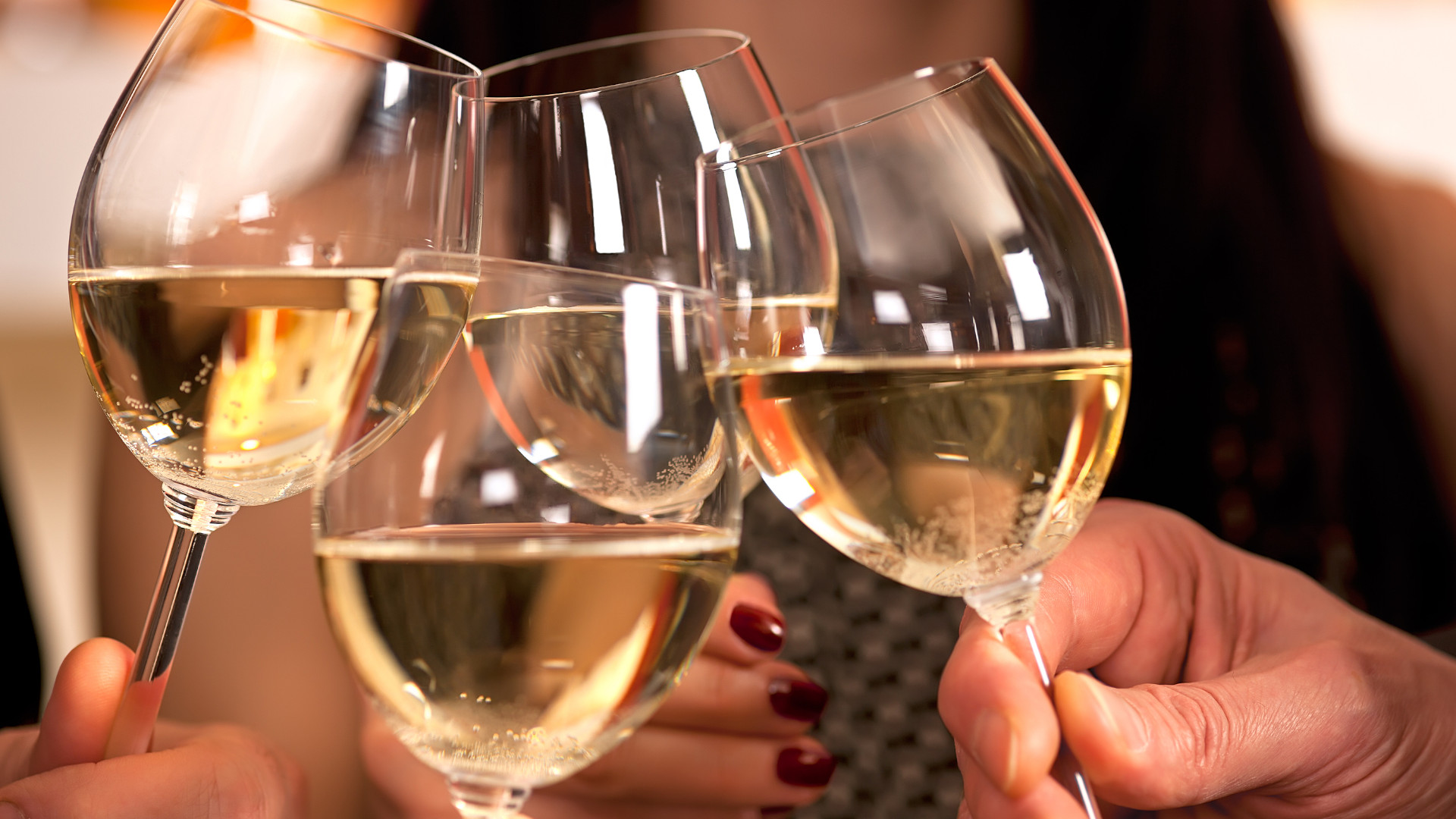 welcome 2026 diese eventhighlights erwartet regensburg 2