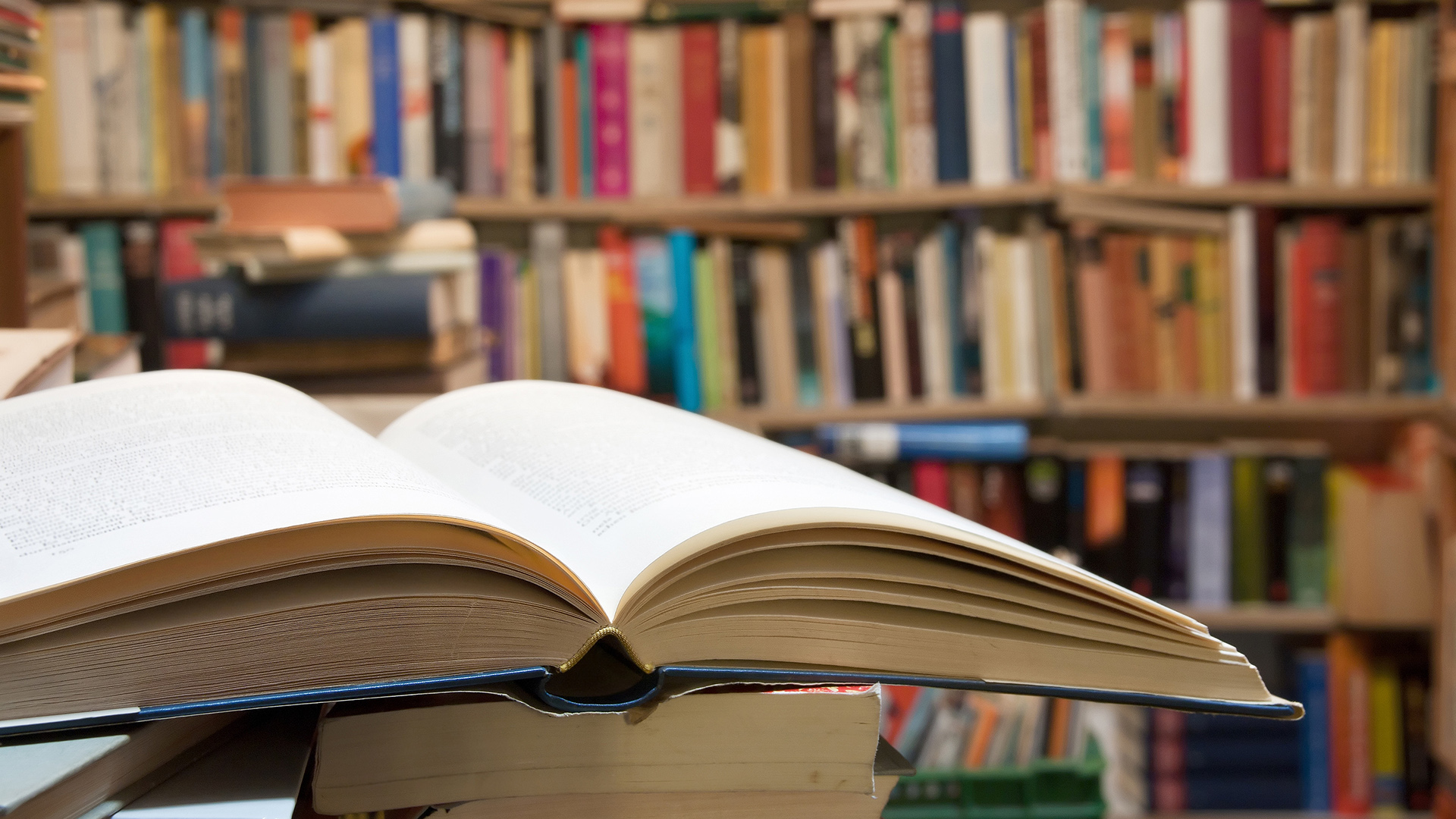 Lesung-in-der-Filmgalerie-Fritsch-liest-aus-Herzklappen-von-Johnson-und-Johnson-