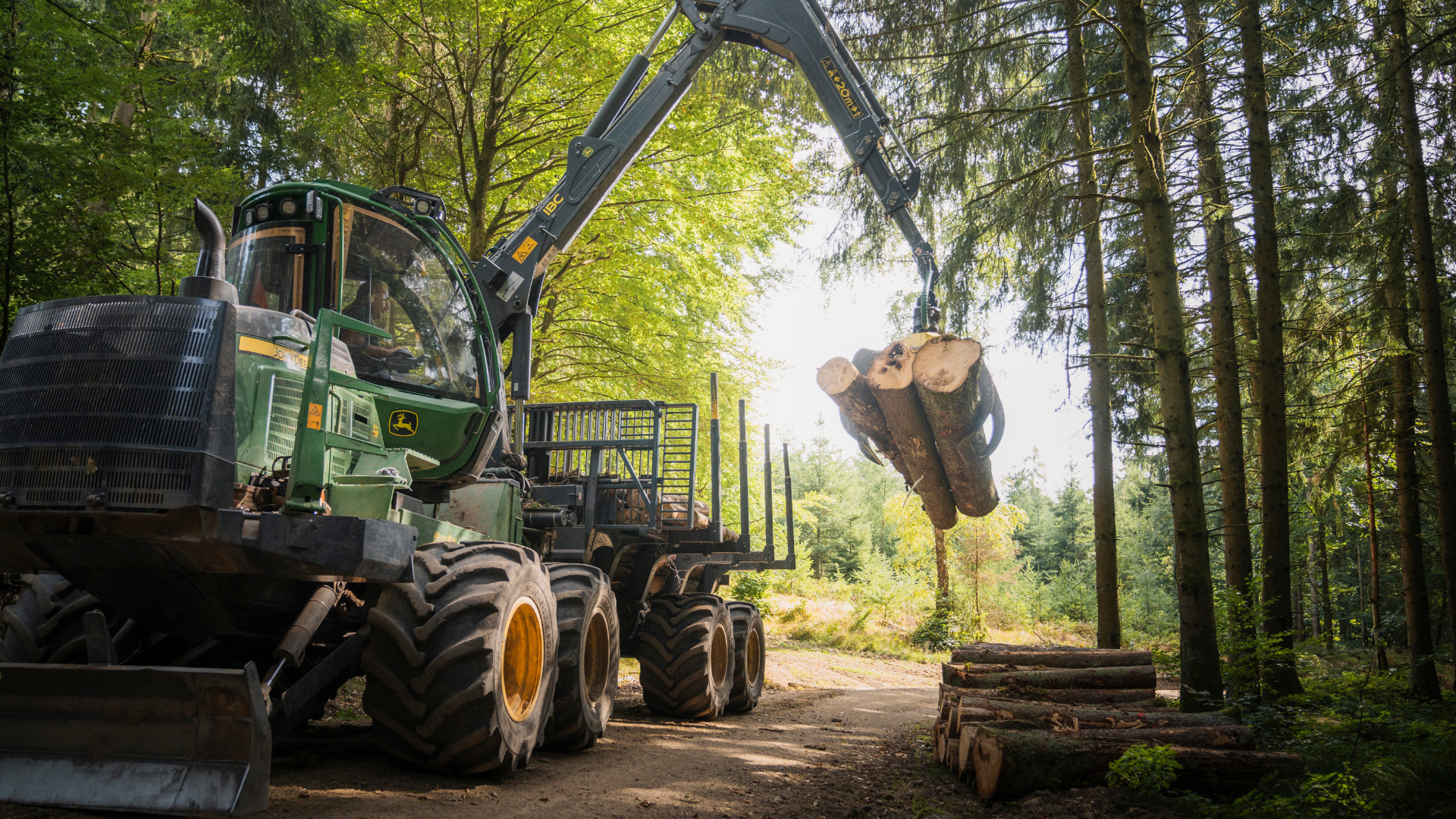 wald unter druck zwischen klimaschutz wirtschaft und gesellschaftlichen erwartungen 2
