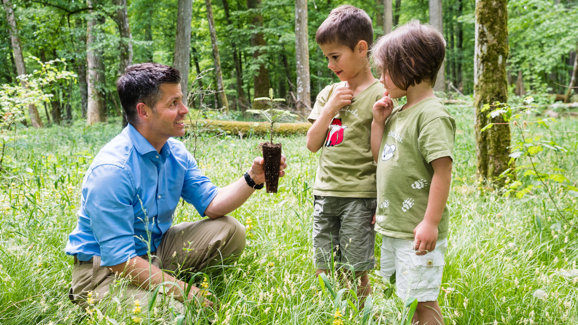 wald unter druck zwischen klimaschutz wirtschaft und gesellschaftlichen erwartungen 3
