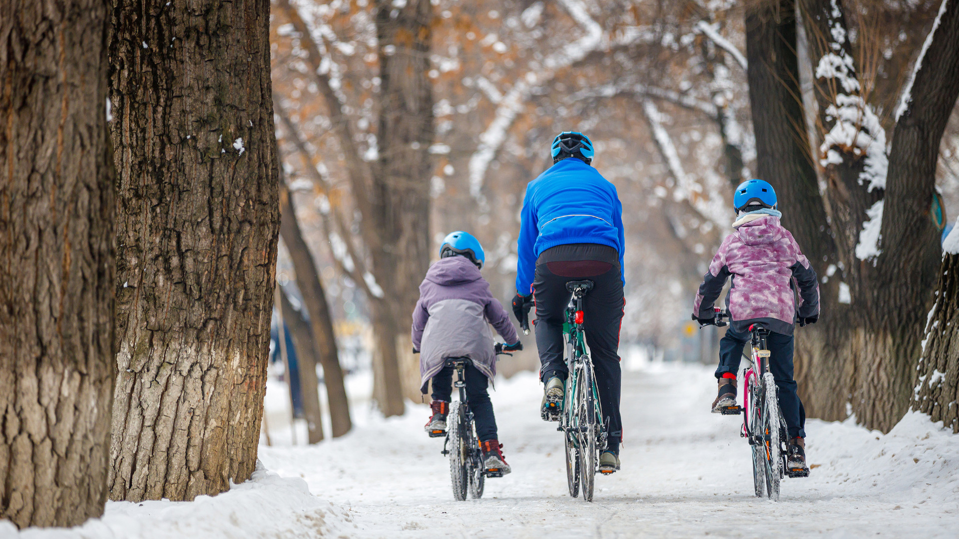 Gr-ner-Erfolg-Pilotprojekt-f-r-Winterdienst-auf-Radwegen-startet