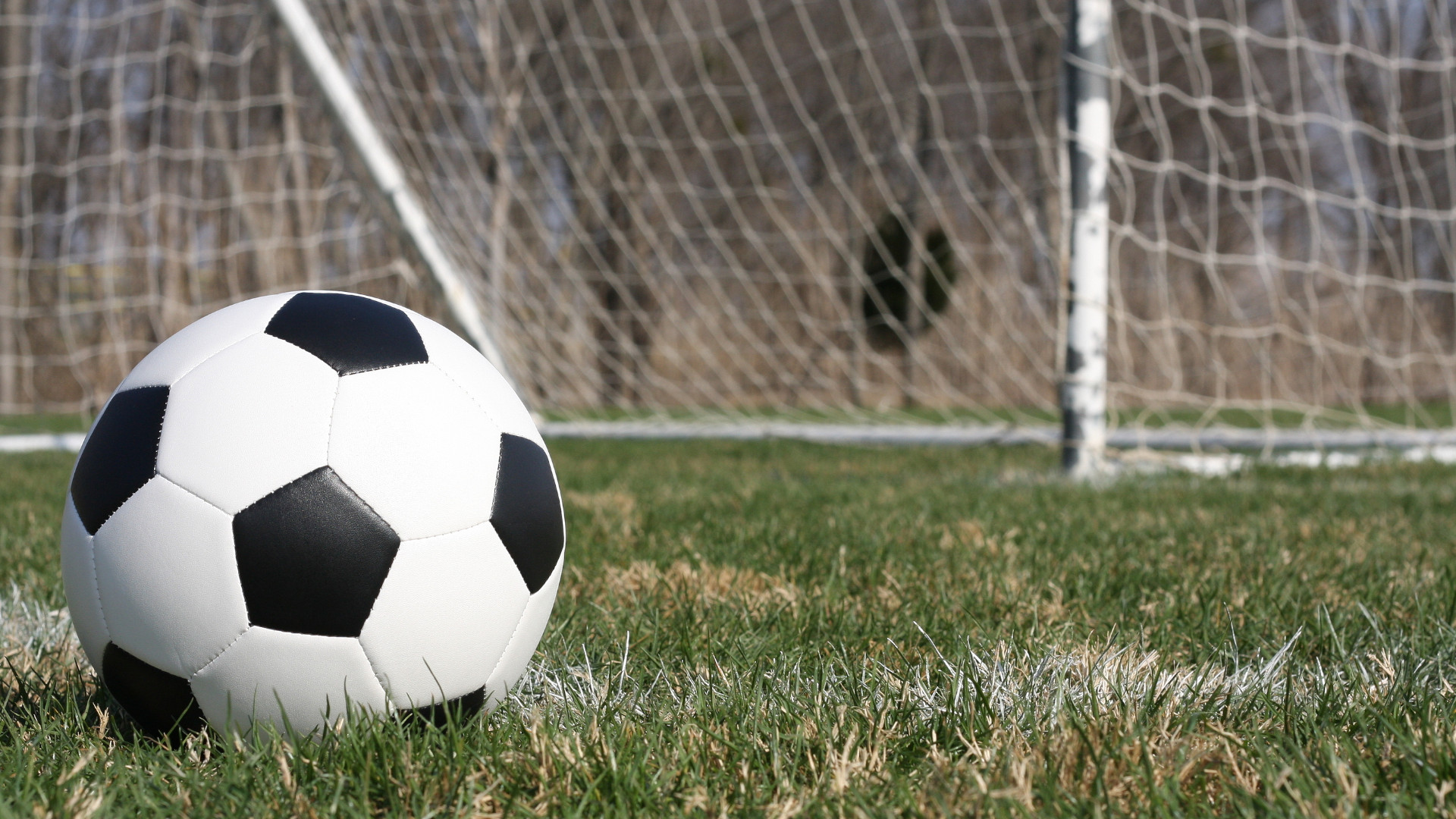 Symbolbild: Fußball liegt vor dem Tor