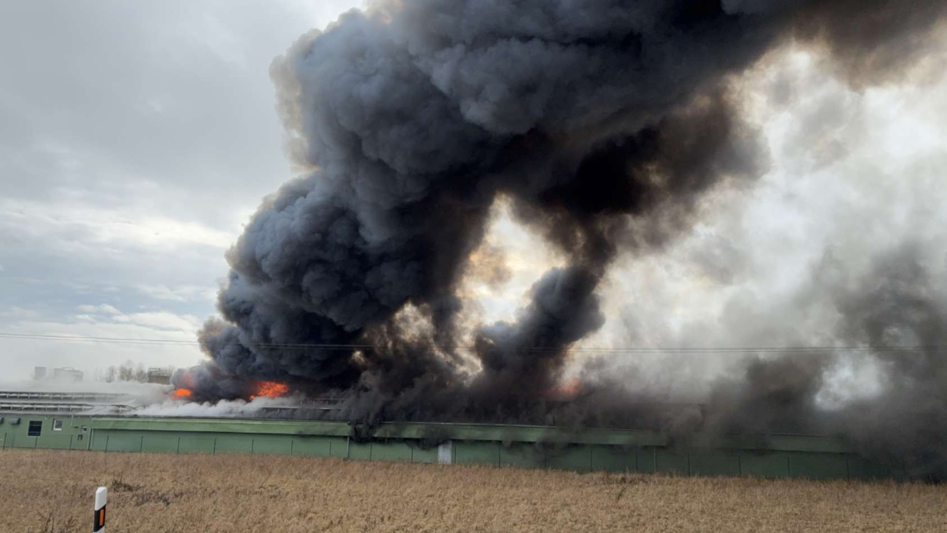Hühnerfarm in Brand