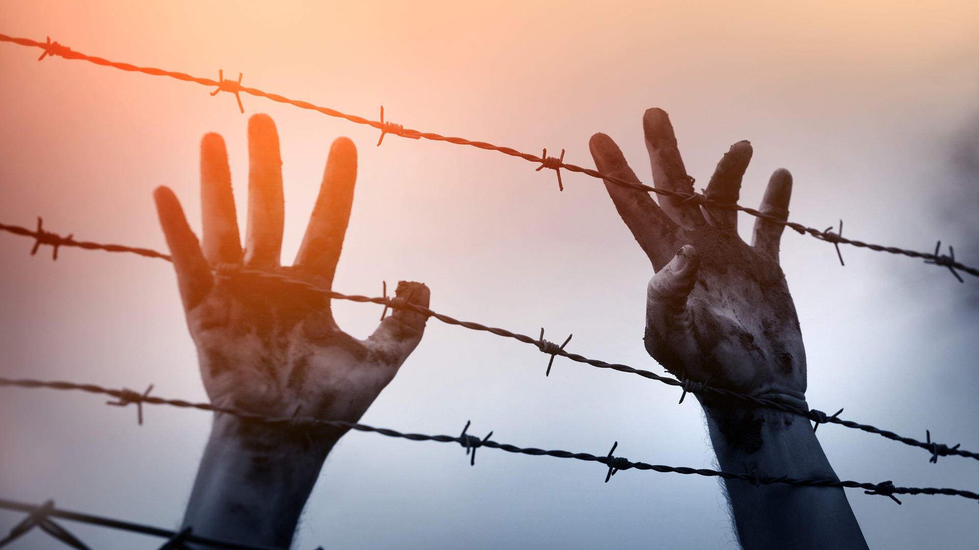 Symbolbild: Hände strecken sich über einen Stacheldrahtzaun