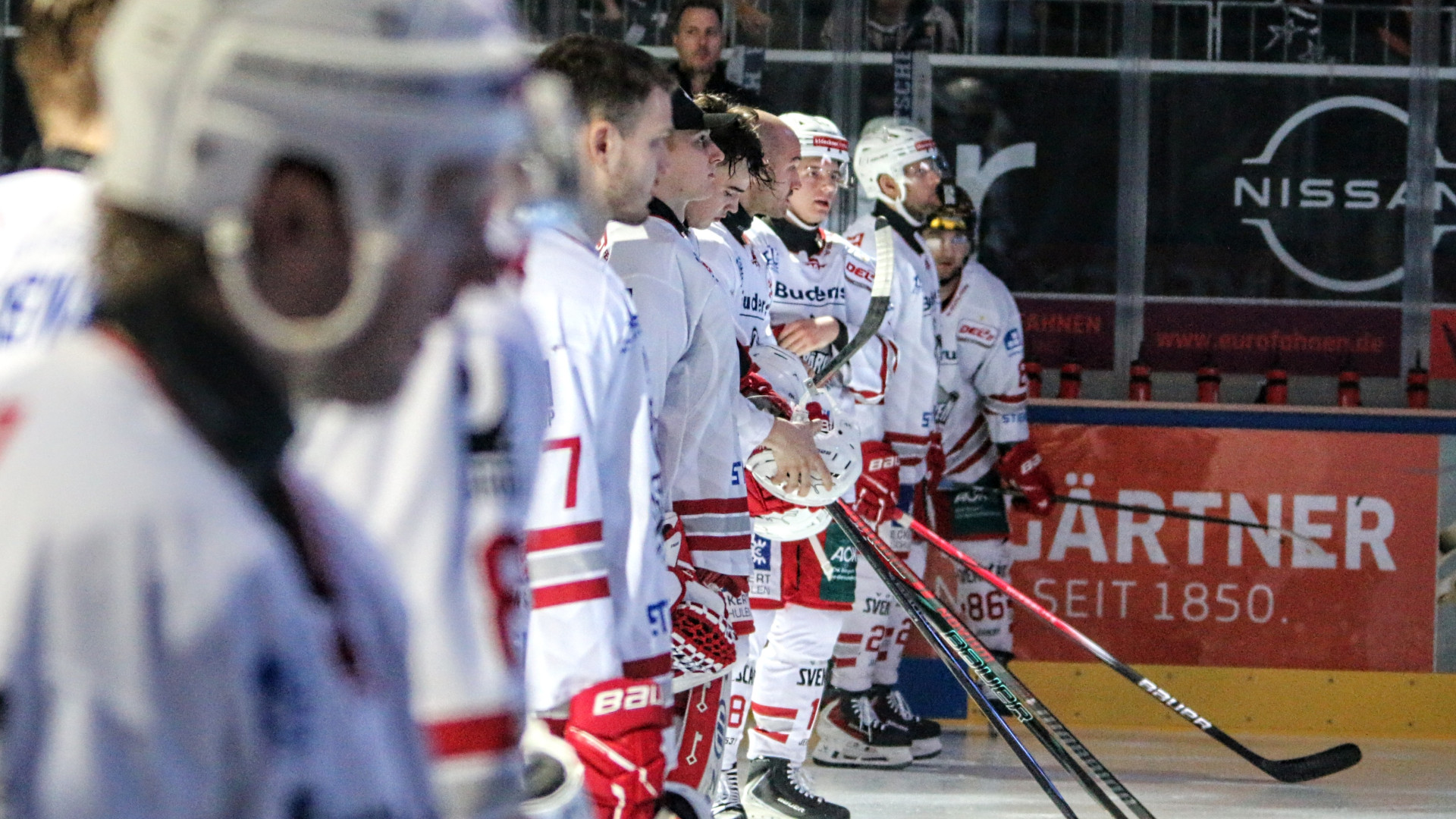 Eisbären in einer Reihe auf dem Eis