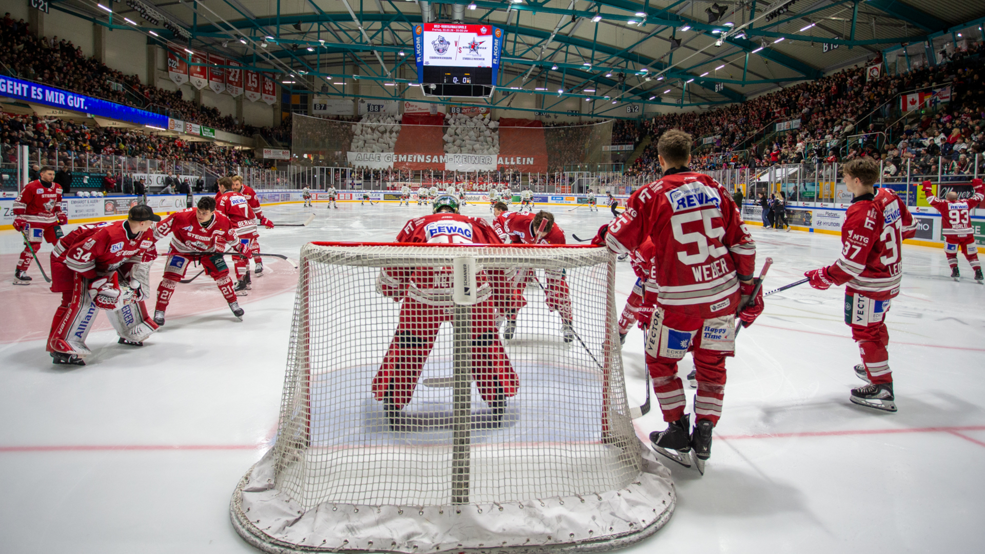 Eisbären Regensburg von hinten vor dem Tor