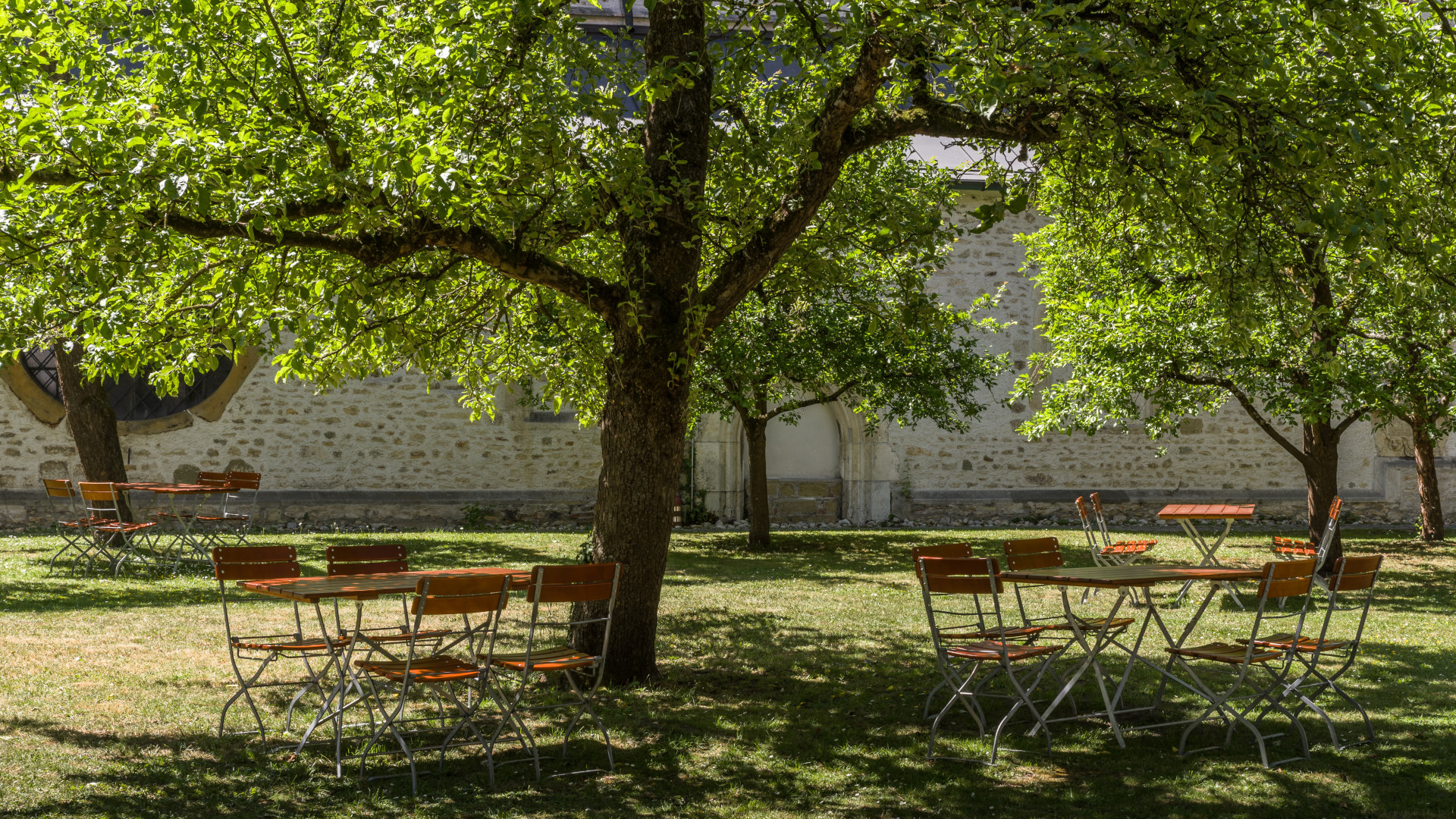Unter einem Baum stehen Stühle und Tische