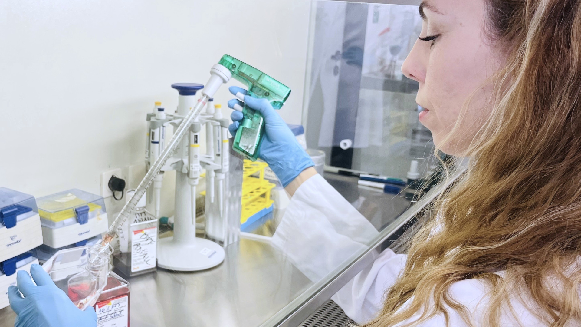 neue studie zu metastasen ueberrascht was sie fuer krebs therapien bedeuten koennte 1