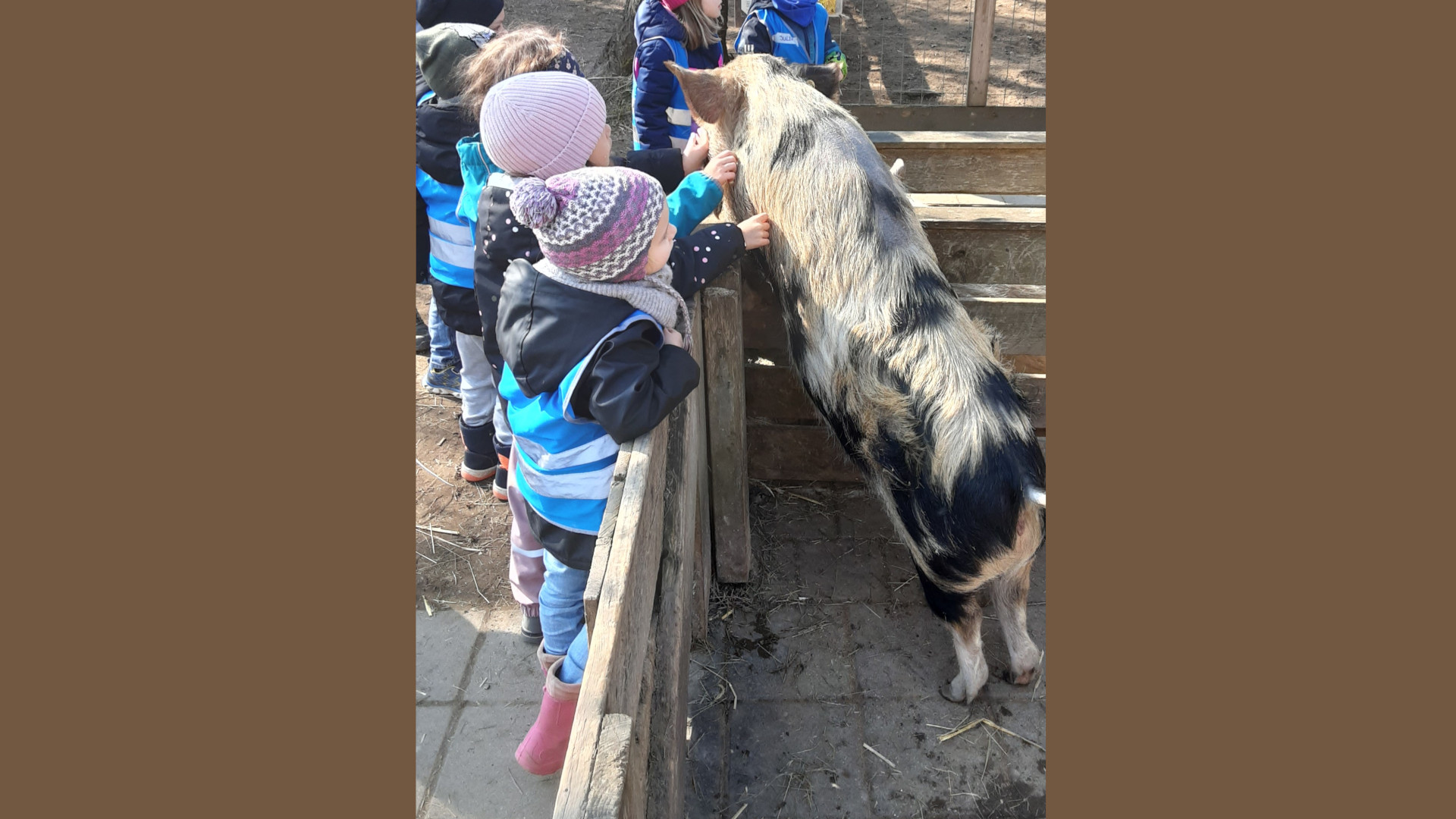 Kinder streicheln Tier im Gehege