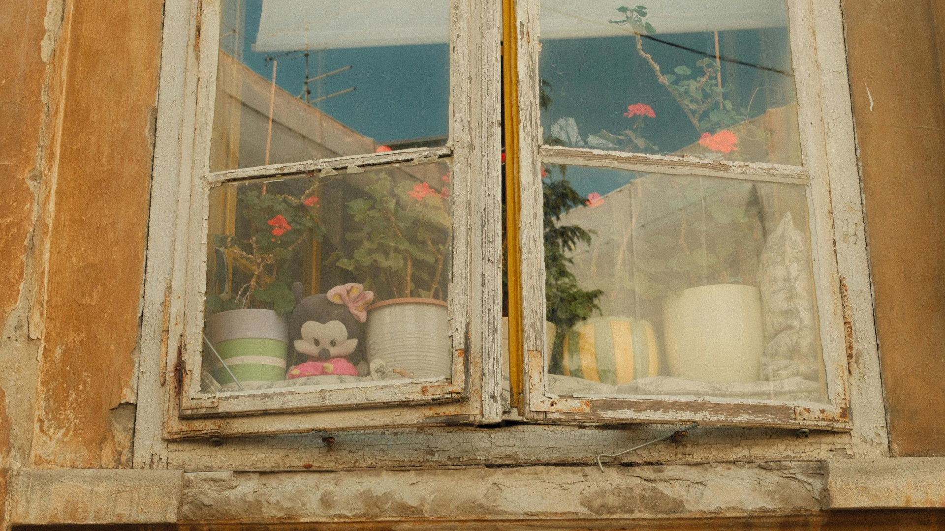 Symbolbild: marodes Fenster