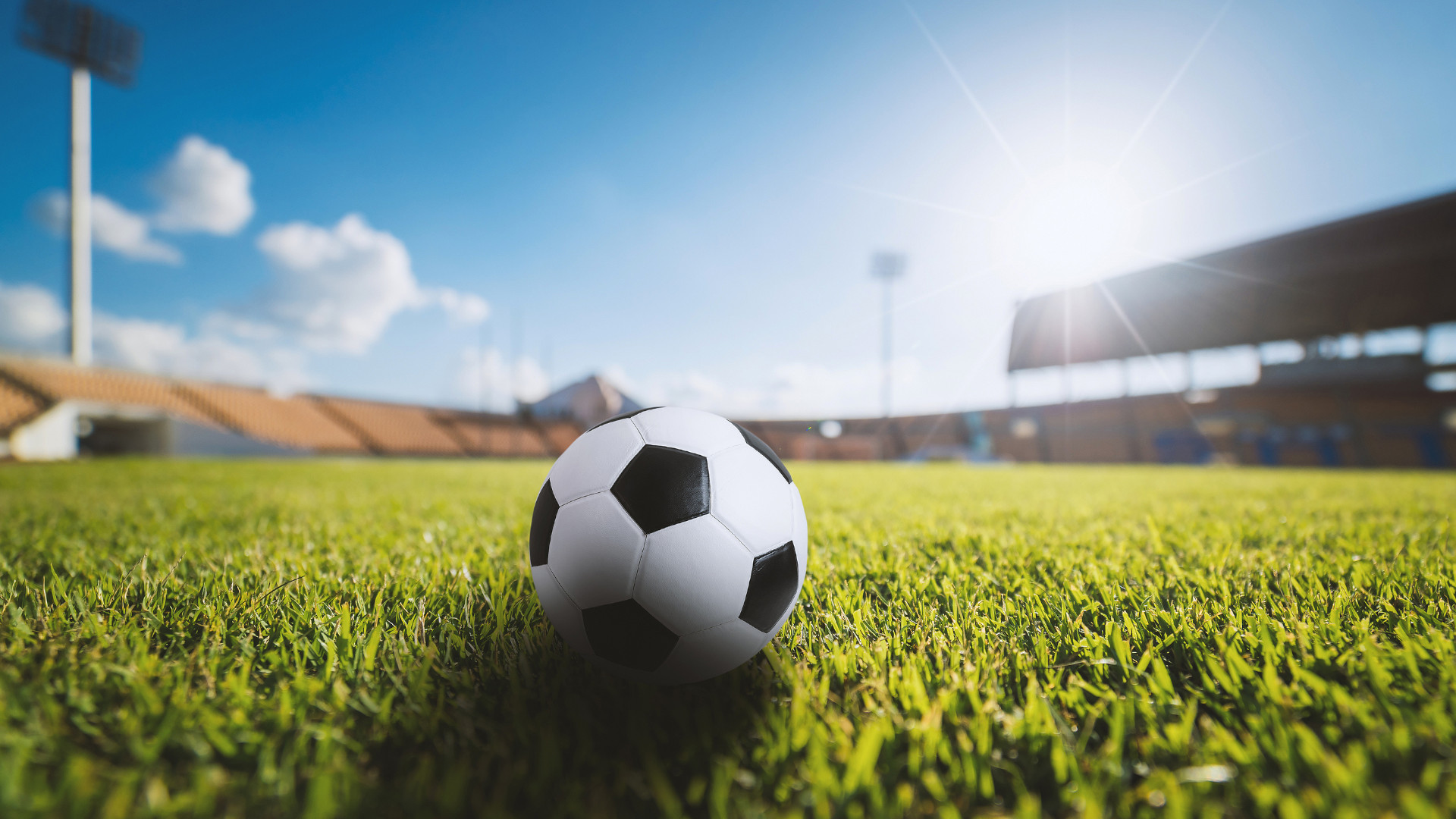 Symbolbild: Fußball im Rasen