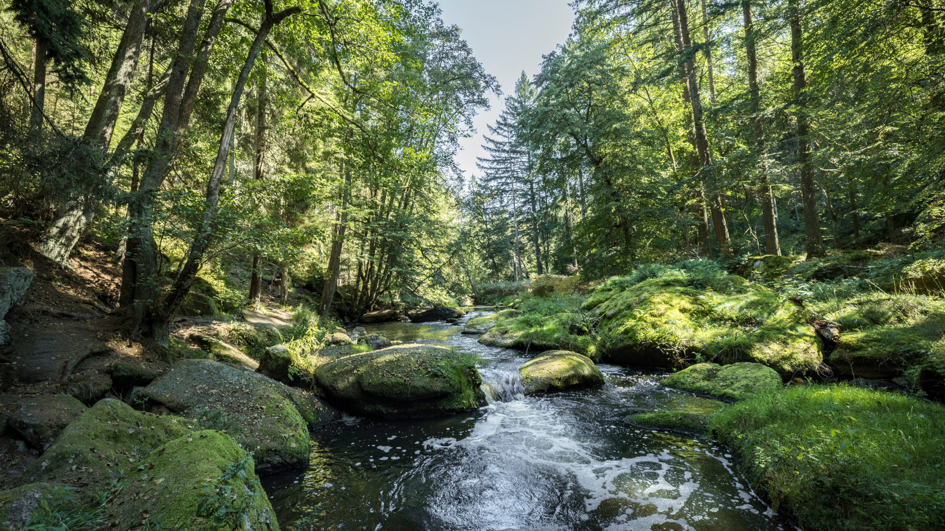 abenteuer entdeckungen und ganz viel natur region steinwald und fichtelnaab 2