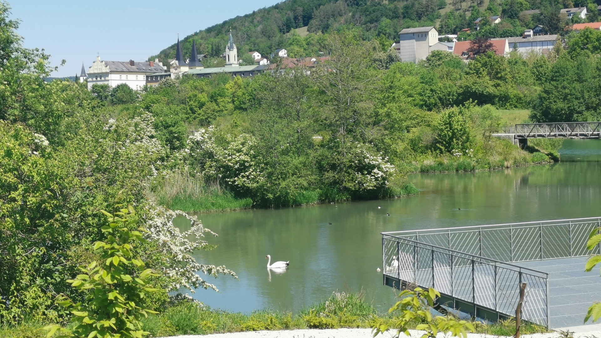 sommer sound festivalfeeling die region feiert vor der haustuer 9