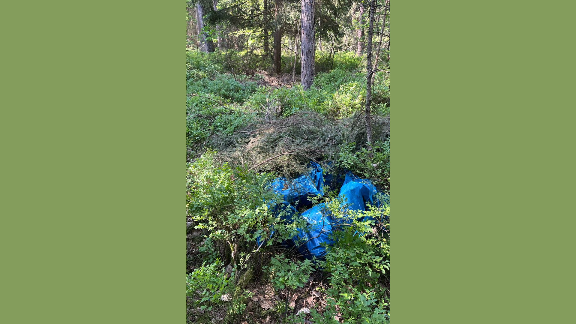Müllsäcke im Waldstück