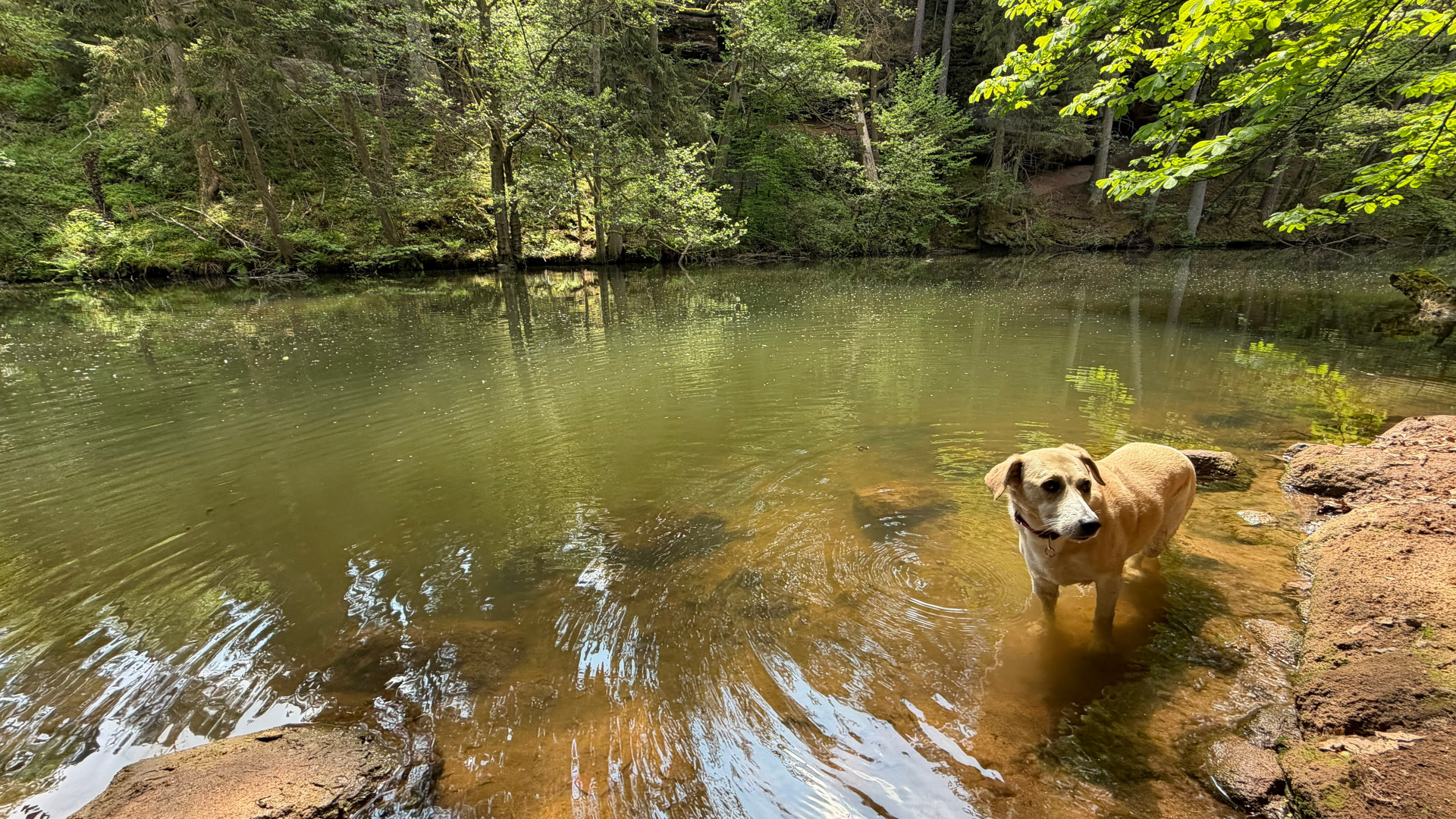 die schwarzachklamm die klamm und der historische kanal 2