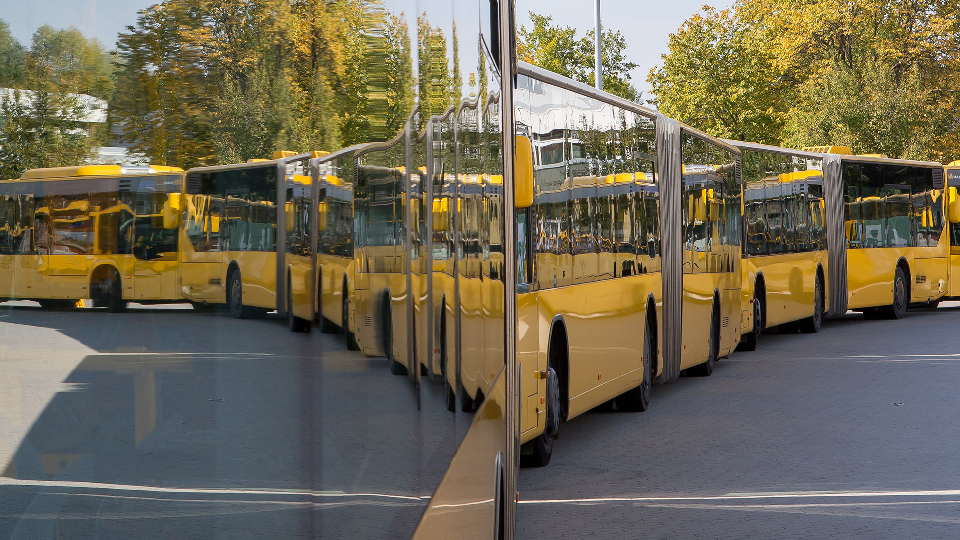 Busflotte von das Stadtwerk.Mobilität