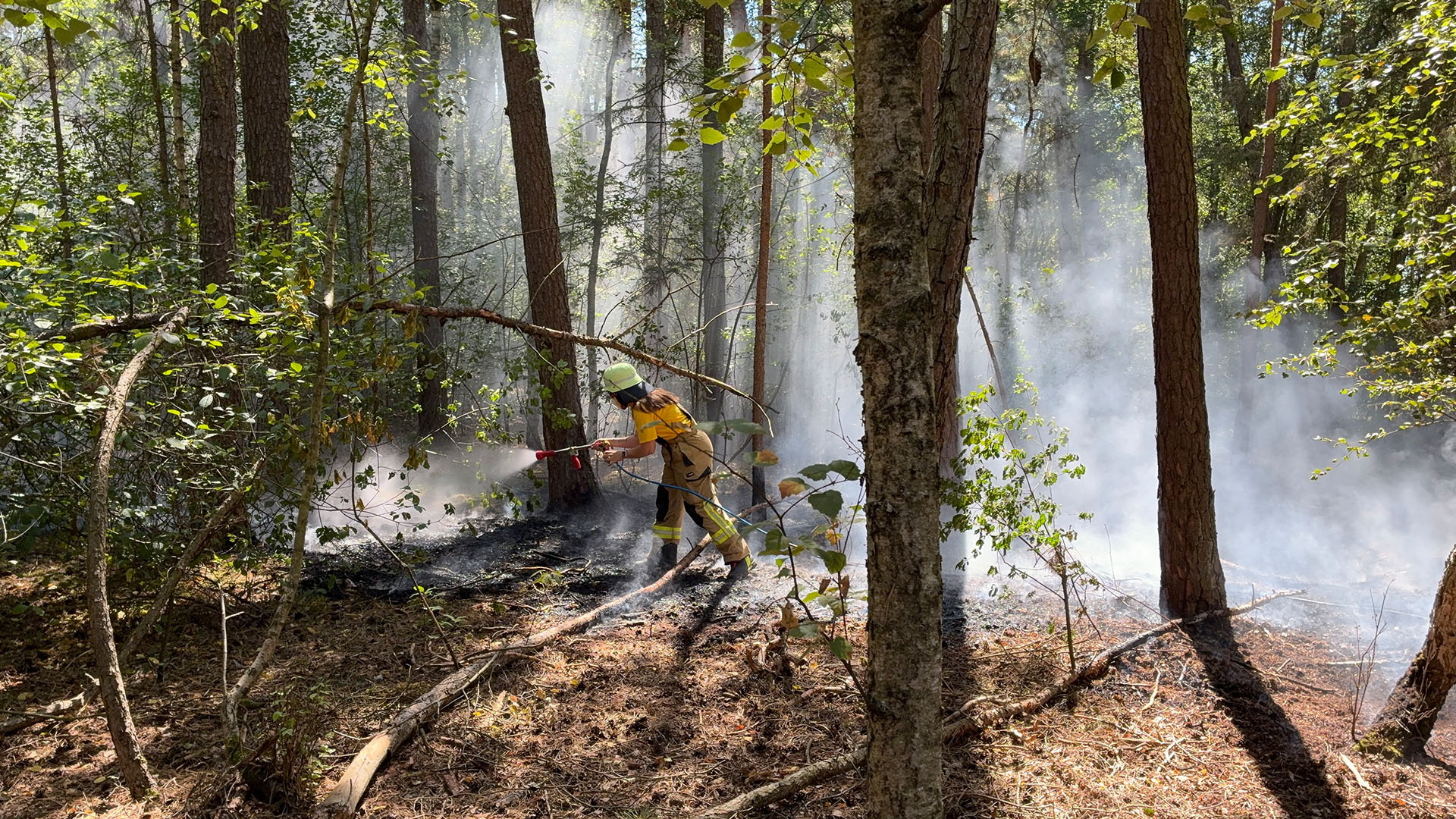Waldbrand bei Steinberg am See: Feuerwehrmann bei den Löscharbeiten
